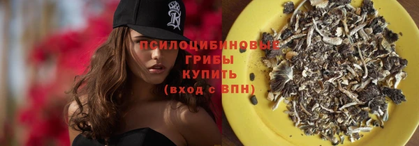 дживик Богородицк