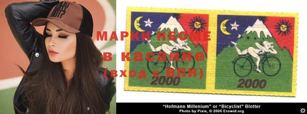 дживик Богородицк