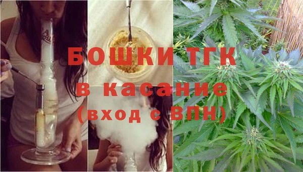 твердый Богданович