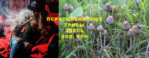 синтетический гашиш Богородск