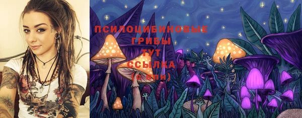 твердый Богданович