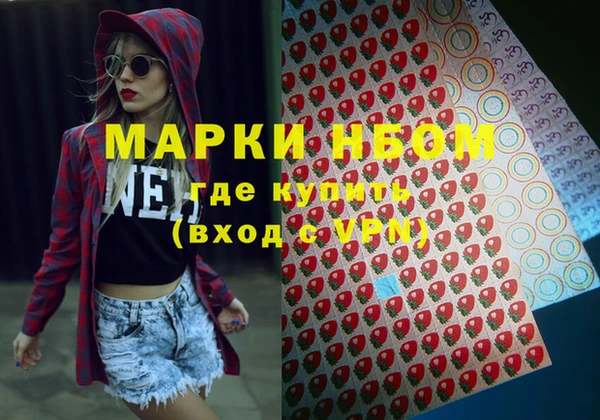 дживик Богородицк