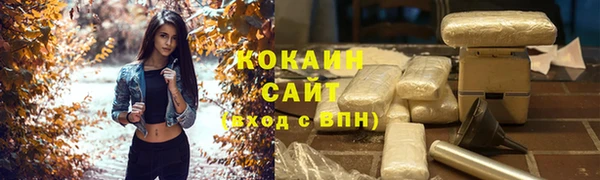 твердый Богданович
