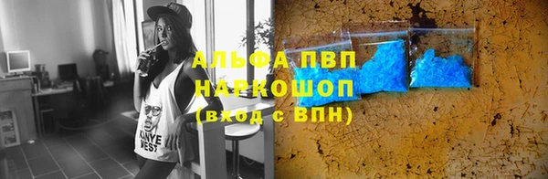 дживик Богородицк