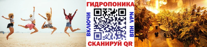 Конопля тримм Дагестанские Огни